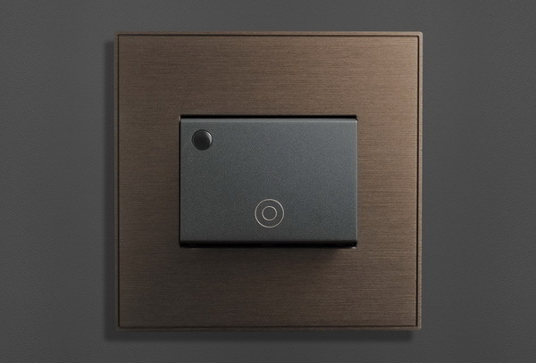 IL-5001 — bronzed
