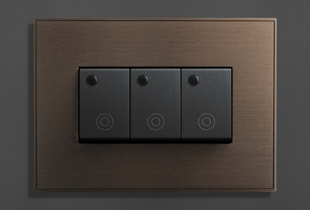 IL-5003 — bronzed