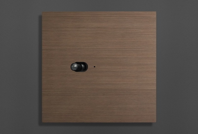IL-9001 — bronzed